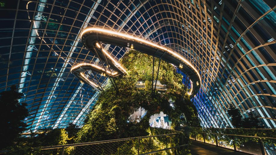Cloud Forest at Gardens by the Bay